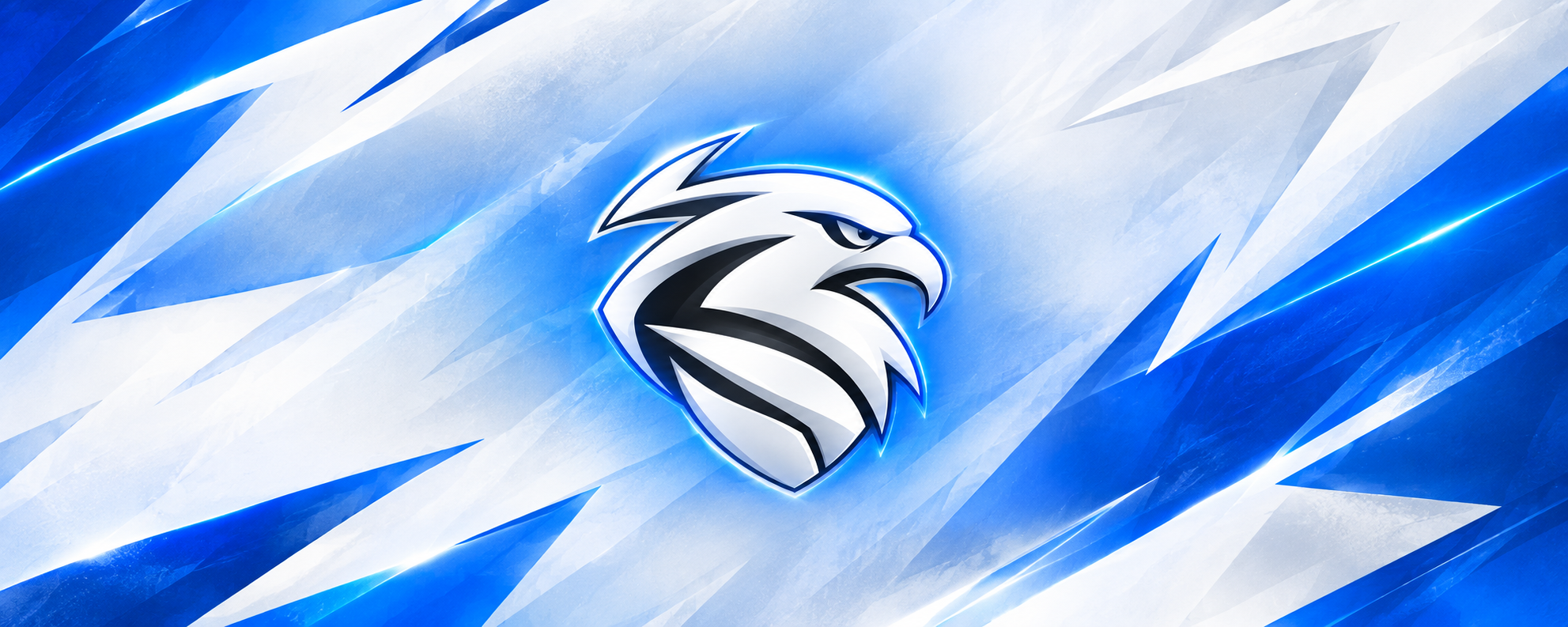 TEAM AIR blue and white eagle banner